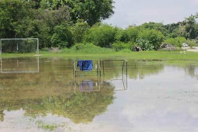 老将的身体 老将的身体