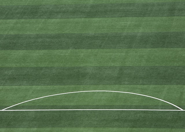 在这次阵容 在这次阵容