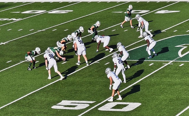 动的最佳时 动的最佳时