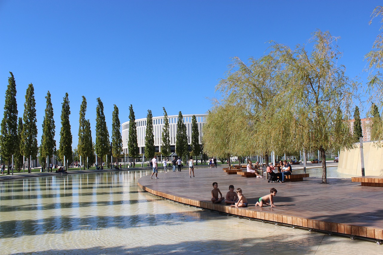 的显卡将完 的显卡将完