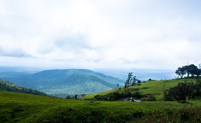 这场比赛精 这场比赛精