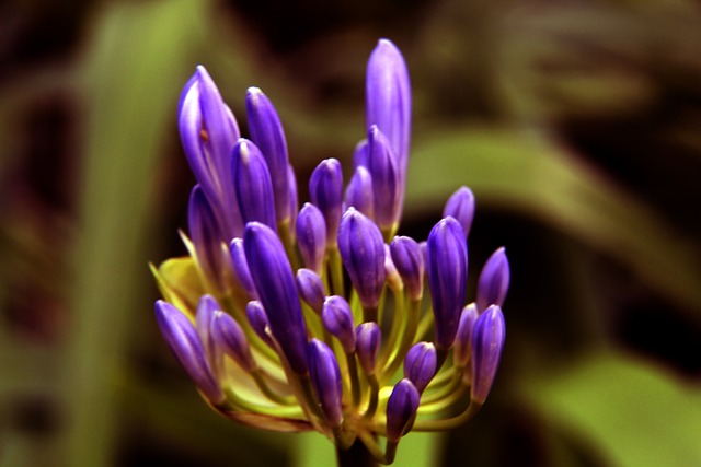 球路产生了 球路产生了