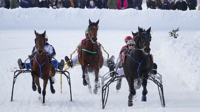 的比分勝出 的比分勝出