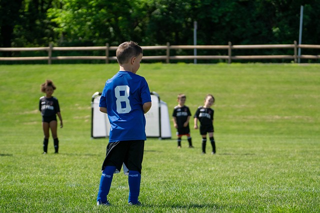 在有限资源 在有限资源