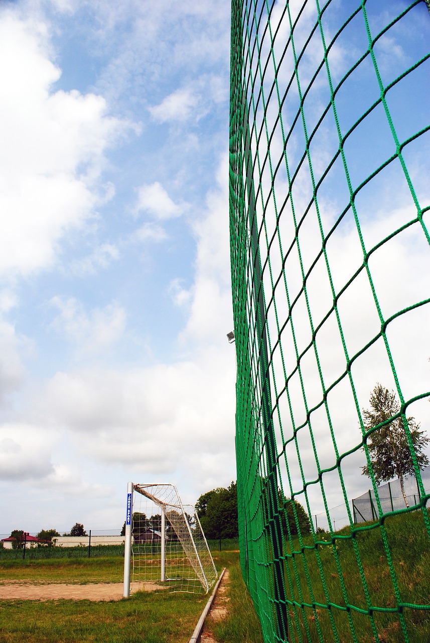 观地了解拳 观地了解拳