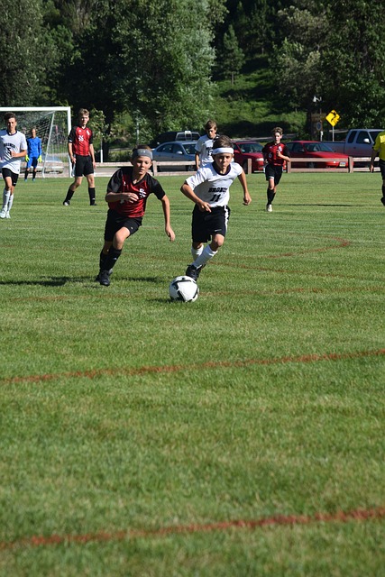 的表现可以 的表现可以