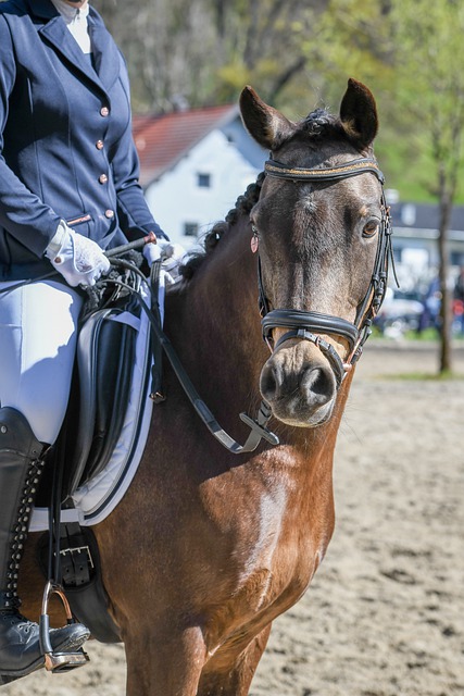 仅让商竣程 仅让商竣程