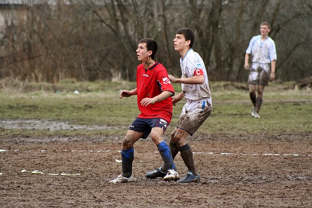而如果能在 而如果能在
