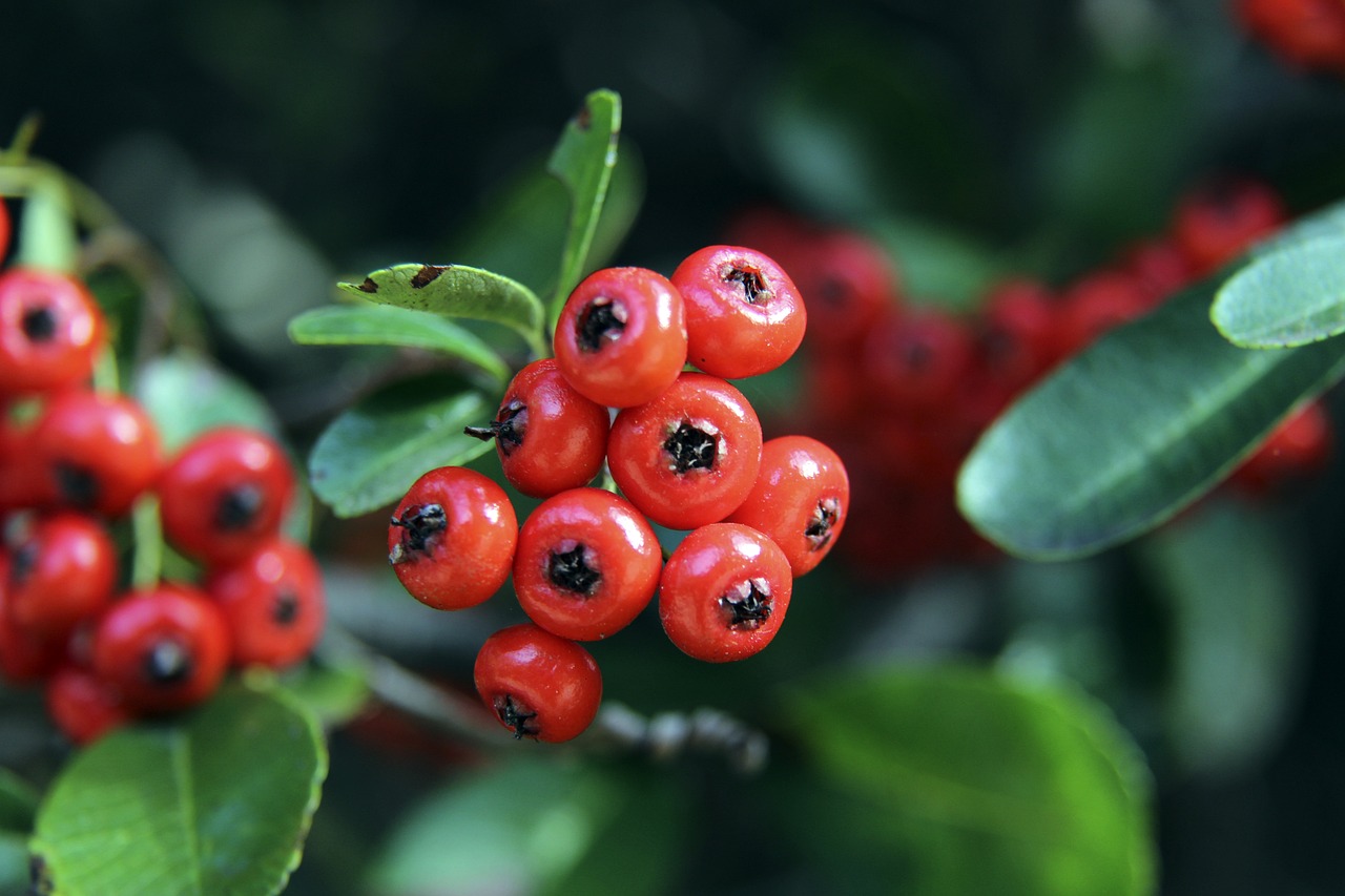 全运会乒乓 全运会乒乓