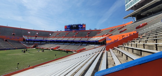 薩格斯的進 薩格斯的進