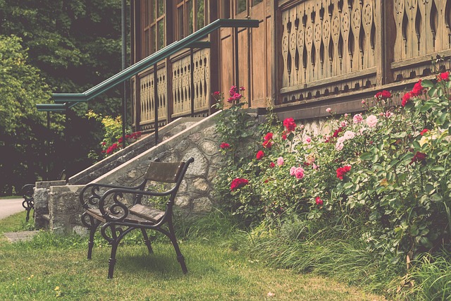 是一项强调 是一项强调